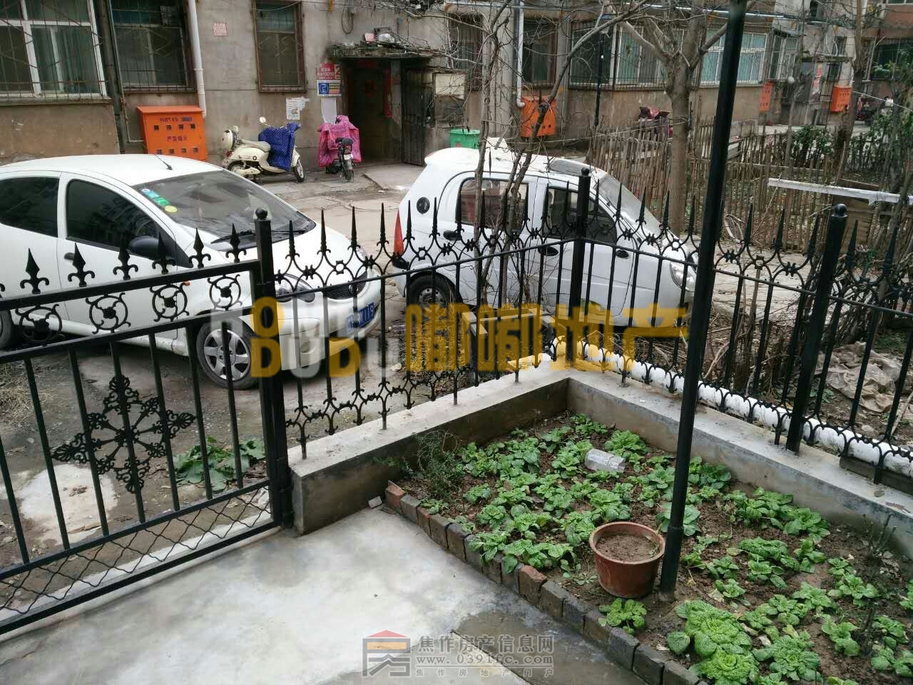 小花园