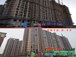 小虎初春探盘之金山·东方花园