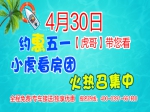 今天下午[六盘连看]  报名人数已突破百人