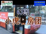 10月2日小虎看房五盘连看完美收官