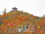 中站区：绝美“红叶谷” 市民“后花园”