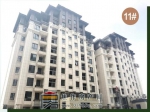2020年4月建业迎宾府工程进度 万物竟向上,家音踏春来!