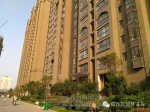 常绿首付低至1万起，最高享350元/㎡家装补贴！