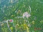 春意盎然看北山