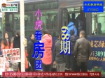 【小虎看房团68期】初冬看房成功举办