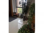 焦作大学附近精装修，黄金楼层，2室，配合贷款