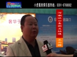 王为辉：2013春季房展会河南征云集团总经理
