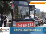3月21日网络电台强强联手  小虎看房精彩现场