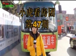 元旦小虎看房团第47期开门红【视频】