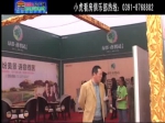 赵腾飞：2013年房展会绿都叠翠园销售副经理