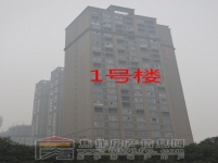 常绿·林溪谷工程进度