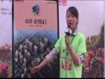 周文丽：2013年房展会绿都叠翠园销售顾问