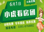 焦作房产网小虎看房6月1日再吹集结号火热报名中