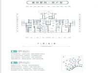 云台山恒大养生谷叠拼墅院一层户型品鉴