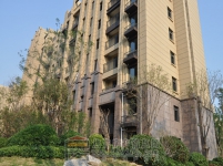 建业·公园里6月工程进度