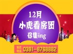 12月小虎看房团抢房大战火热召集中