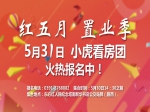 5月31日下午2:30分小虎看房团“四盘连看”新鲜出炉！