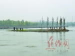 龙源湖公园新建四个“鸟岛”