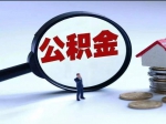 “容缺办理”提质效 住房公积金服务显温度
