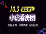银十来袭 小虎看房团131期国庆专场完美收官