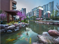 金山·东方花园效果图
