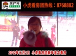 小虎看房团2012年春节首次看房活动