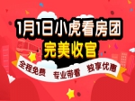 小虎元旦看房团新年首发   助力“房之梦”！