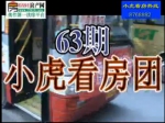 63期小虎看房精彩视频