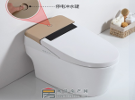 安装智能马桶 水质问题需考虑