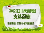 3月26日小虎看房团报名即将结束