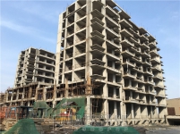 2月中弘名都城工程进度