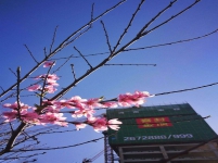 常新银河商务中心实景图