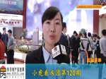 【小虎看房团120期】之星凯国际城