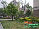 小虎探盘之焦北大盘赛纳溪谷