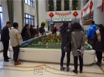 【小虎看房团117期】之建业·公园里
