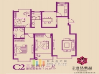 C2