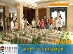 小虎看房团东方今典.境界
