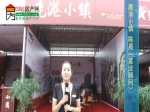 【房博会专访】鹿港小镇置业顾问陈晨