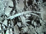 业主怒砸自家新房！焦作荣盛云台观邸如此施工质量，欺骗广大业主被曝光......