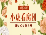 春风吹得楼市暖 小虎看房团119期意向成交5套