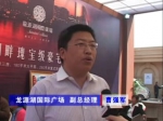 2011房博会龙源湖国际广场曹总专访