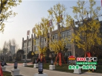 建业·公园里2015年3月工程进度