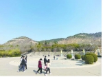  让青山永驻怀川  ——我市北山生态环境保护工作综述
